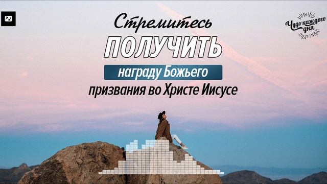 Все бегут, но лишь один занимает первое место! | Чудо ка