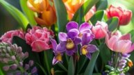 Красивые пожелания с добрым утром
