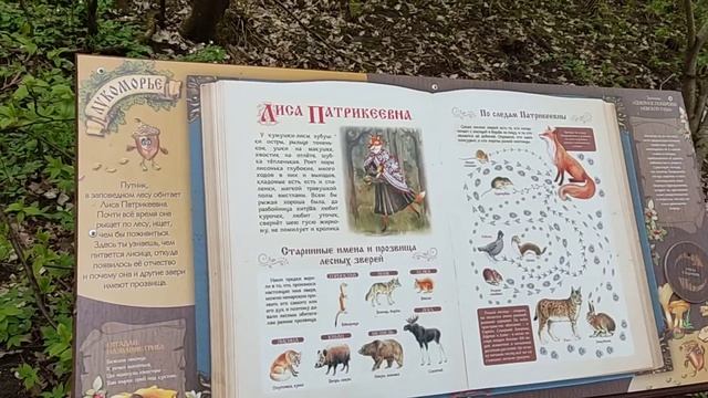 Тропа "У Лукоморья"