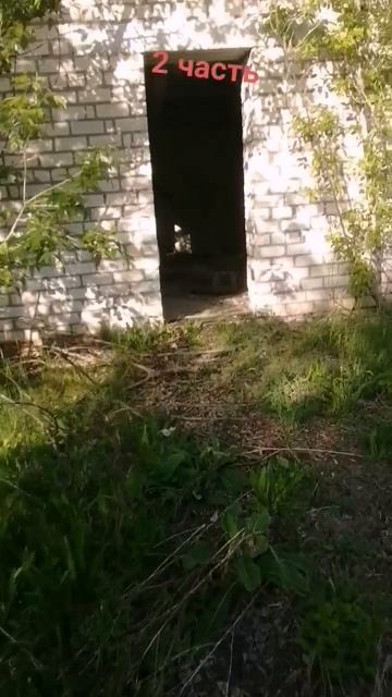 Шортс номер 2 (пути шествие 2)