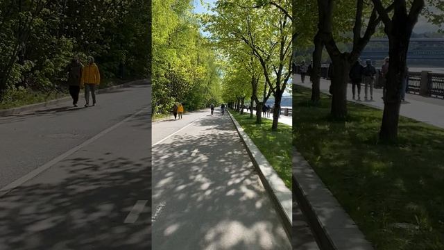 Обзор набережной Воробьевых гор глазами велосипеда.Москва 2025