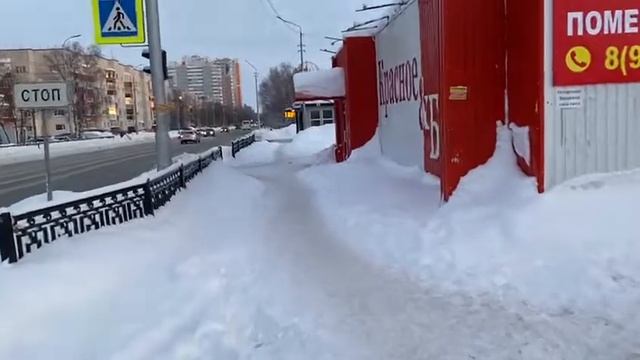 сургут обзор