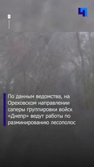 Минобороны РФ опубликовало кадры боевой работы сапер?
