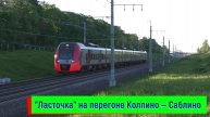 Электропоезд "Ласточка" (ЭС2Г) на перегоне Колпино — Саблино