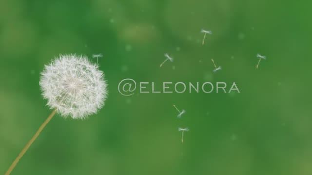 Клип @eleonorat