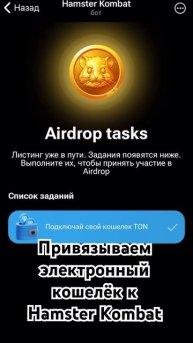 Привязываем электронный кошелёк к игре Hamster Kombat #хомяк