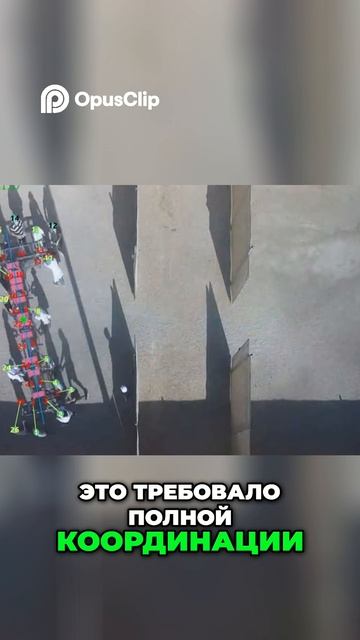 Муравьи против Людей: Неожиданный Результат в Лабиринте!