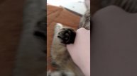 1000001035.mp4