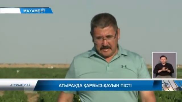Атырауда қарбыз - қауын пісті