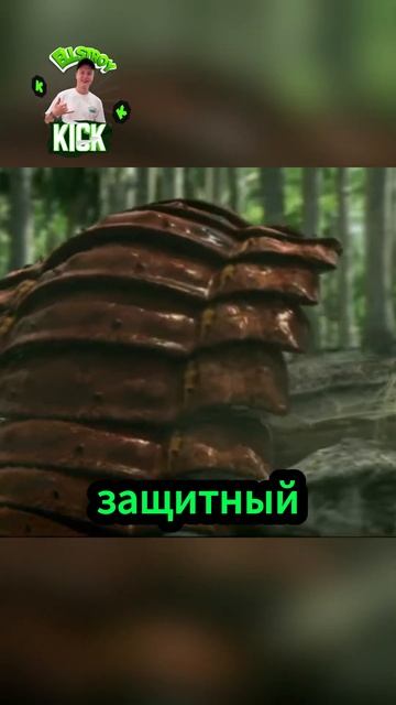 Битва чудовищ!🤯#shorts #bbc #вмиреживотных #животные #дино?