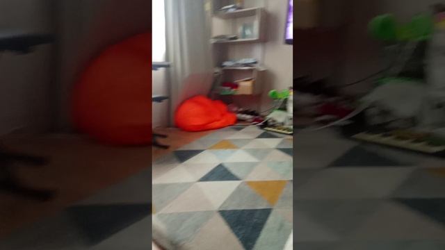 Привет Я итолира