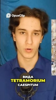 Космос и муравьи: Невероятная миссия на МКС!