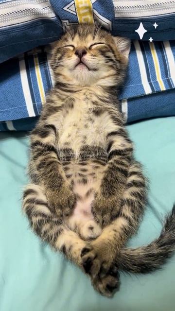 Спокойных снов 😴