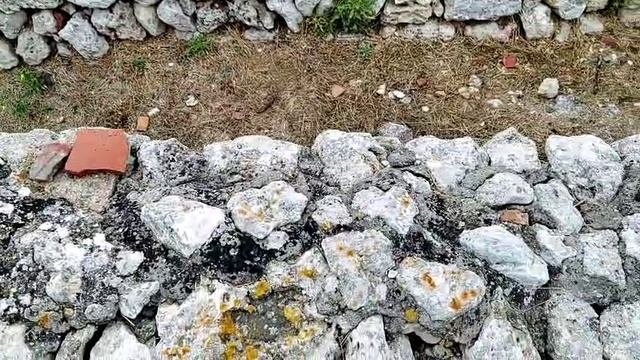 Древние жилые кварталы Херсонеса Таврического.