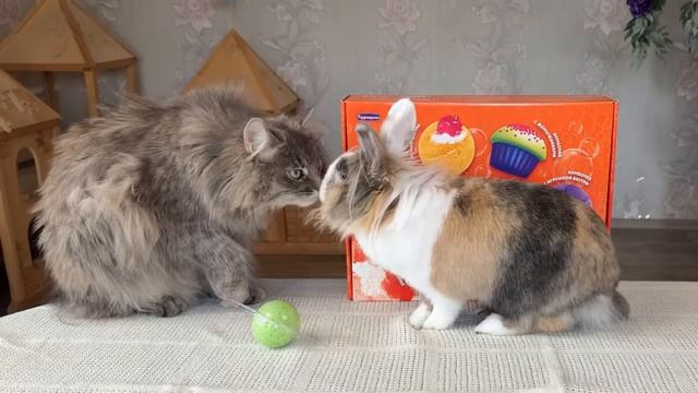 крутые бомбочки для ванны .mp4