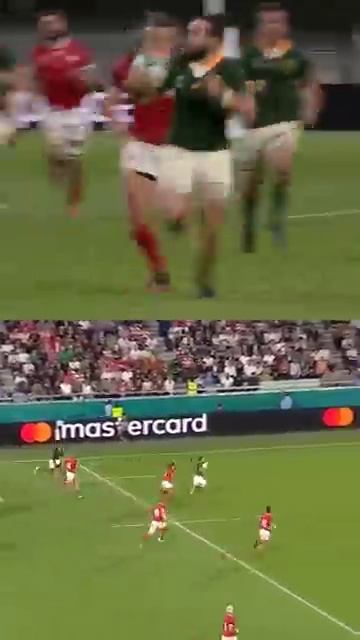 Cobus Reinach 🇿🇦🤯 #Rugby #Shorts #Springboks