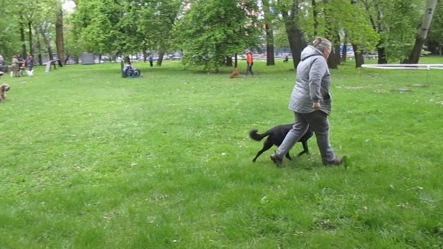 Кубок Победы Ася Разминка 11.05.2025