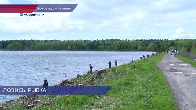 Традиционный турнир по ловле рыбы на спиннинг с берега прошел в Нижегородской области