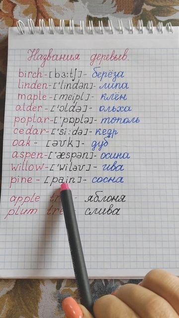 Названия деревьев на английском языке.Сколько названий деревьев на английском Вы знаете?