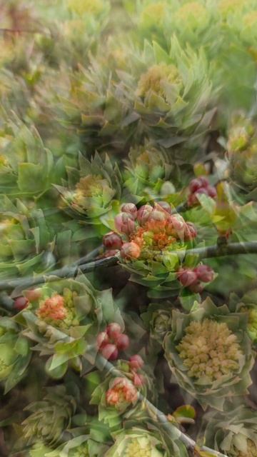 Краски мая 2025