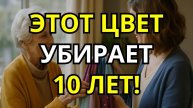 5 Омолаживающих Цветов Секрет Стиля Для Женщин 40+