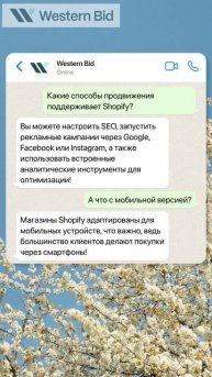 Интернет магазин продвижение