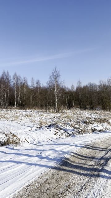 Поселок Васильевские Дворики, Серпуховский район 🗺️✨