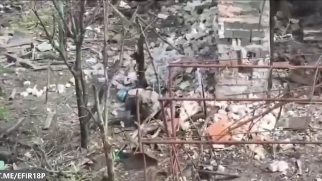 На первый раз подзатыльник