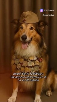 ЧЕТВЕРОНОГИЕ ГЕРОИ