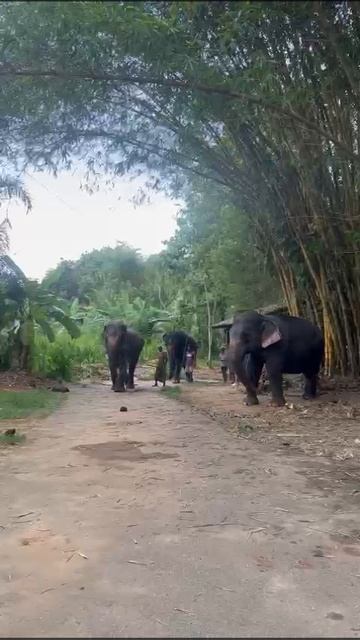 b25eb569-1912-4771-adb7-cfeedfbccb97-1_all_19041.mp4