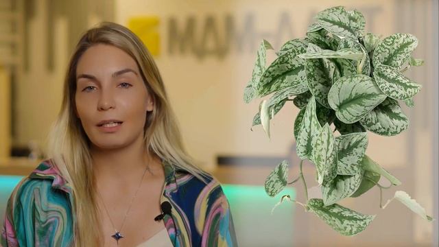 ФИТОСТЕНА: живой логотип МДМ-ЛАЙТ от TERRA 🍀🍀🍀