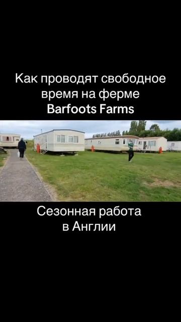Как провести свободное время на ферме Barfoots Farms, Сезонн?