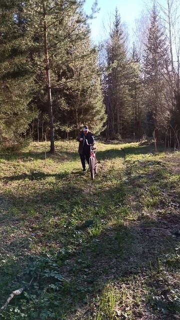 Какая красота!!!!