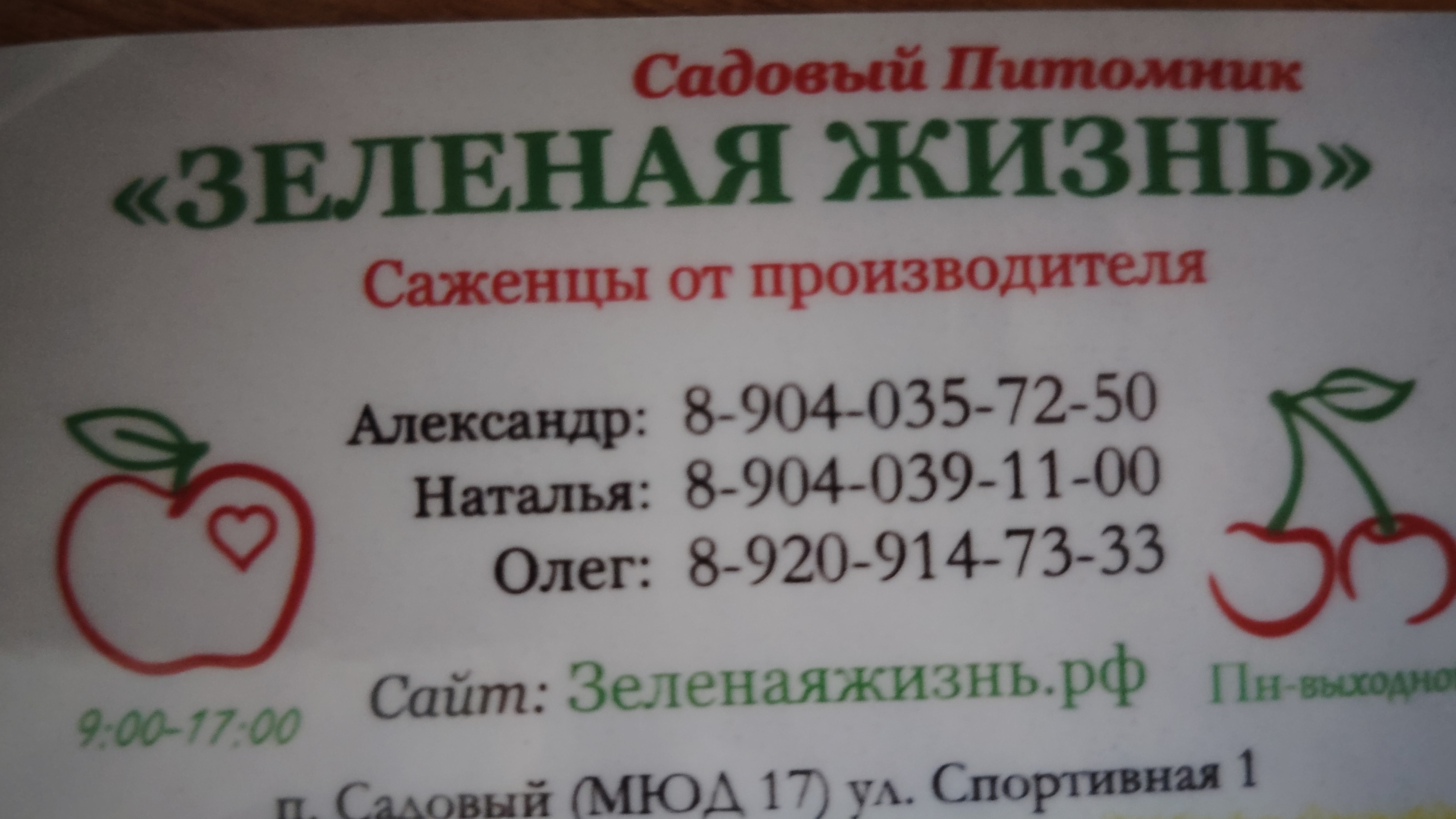 11 мая 2025г. Поездка в питомник "Зеленая Жизнь".