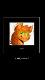 синяя звезда коты воители мем