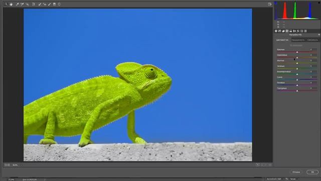 Как делать КРАСИВЫЕ ФОТОГРАФИИ на любой фотоаппарат