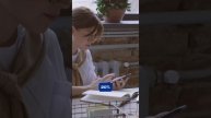 Вебинар по инвестициям