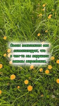 Проблема = обратная связь