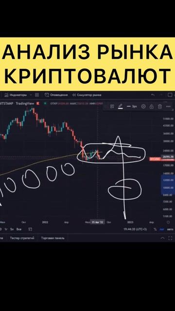 Как действовать новичку в крипте сейчас? Что покупать,