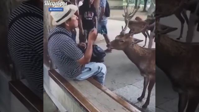 Доброта спасет Мир