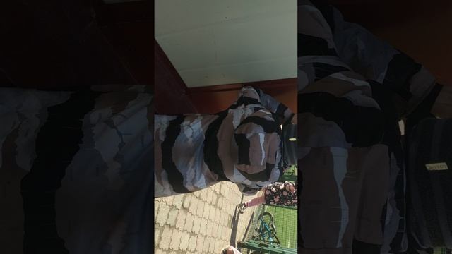 это мы с Макаром котиком снимаем видео