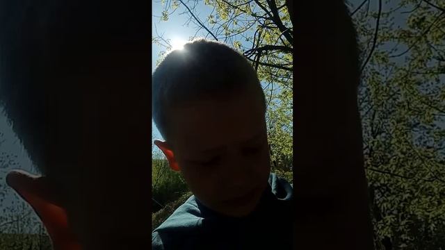 предупредительное видео