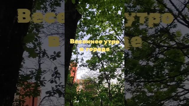 Чудесное звонкое утро в городе.