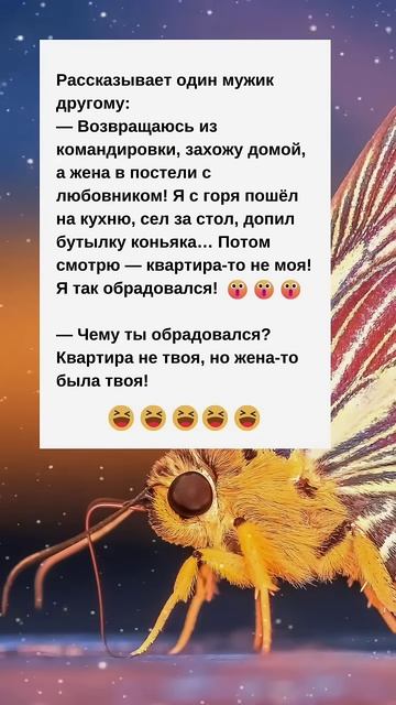 🤣🤣🤣🤣🤣 #юмор #анекдоты #смешное