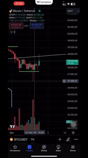 ТЕХ АНАЛИЗ #BTC ЗА 1 МИН 01.09.2024 #инвестиции #btc2024 #биткоин202