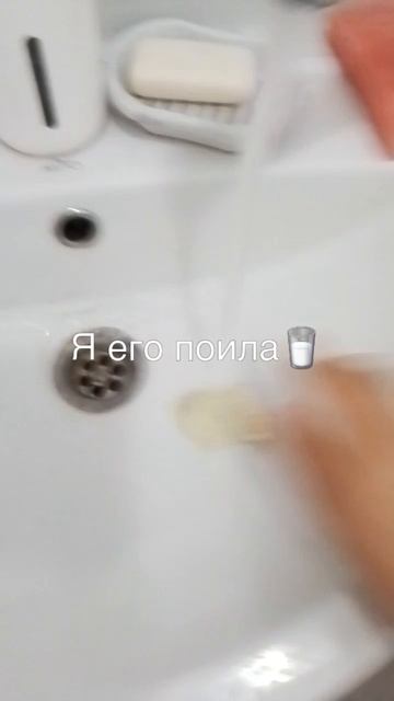 Мой лд:)