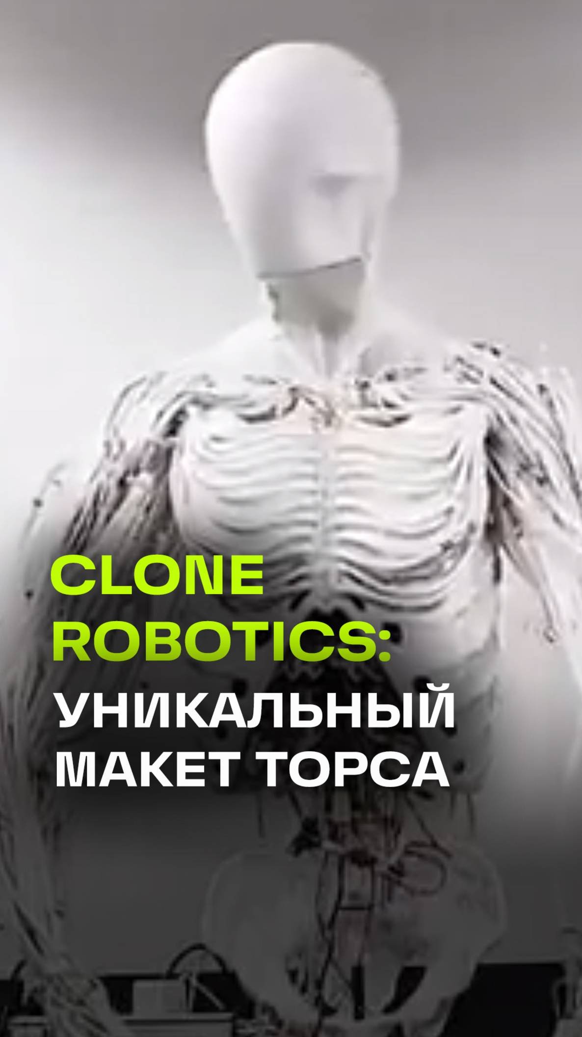 Уникальный макет торса представила компания Clone Robotics