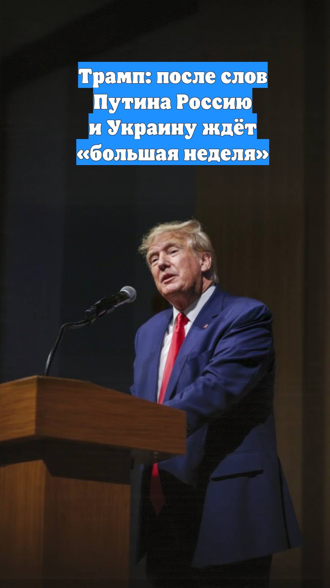 Трамп: после слов Путина Россию и Украину ждёт «большая неделя»