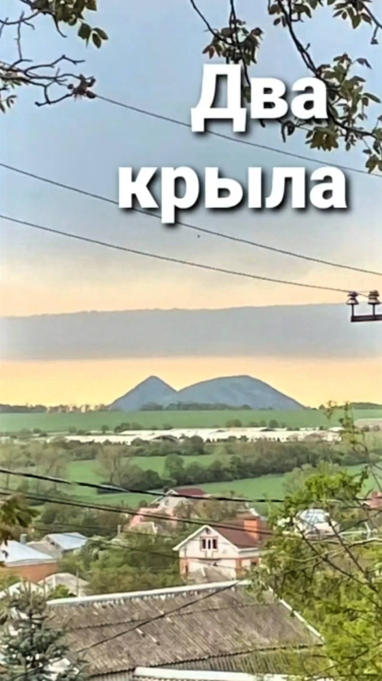 Два крыла. Стихи