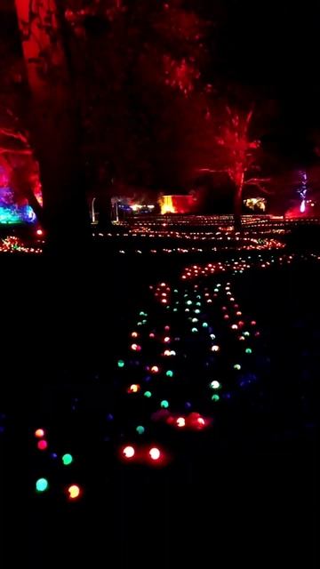 Christmas at Dunham Massey magical light show • новогодняя праздничная по?